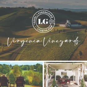 Virginia Vineyards item