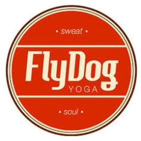 10 Class Pass from FlyDog Yoga item