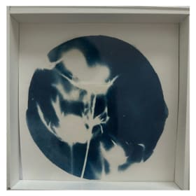 Midnight Thistle - 5x5 Cyanprint item