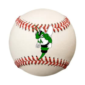 Youth baseball camp at AHS item