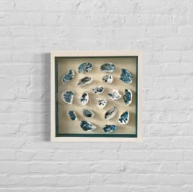 Art on the Half Shell | Anna Green + Ms.Pearson's Class item