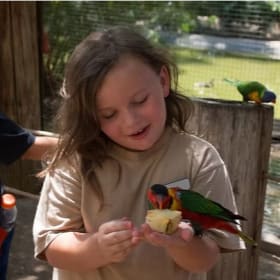 Two Child Admission to Wildlife World Zoo and Aquarium item