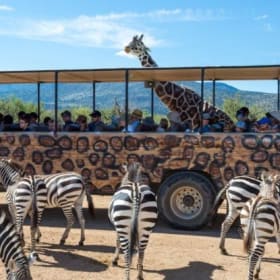 Two General Admission Passes to Out of Africa Wildlife Park item