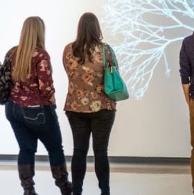 Two General Admission Passes to Phoenix Art Museum item