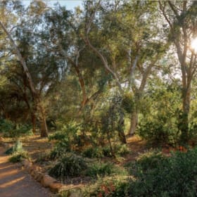 Four General Admission Passes to Boyce Thompson Arboretum item