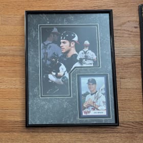 #31 - Minnesota Twins Super Fans Package item