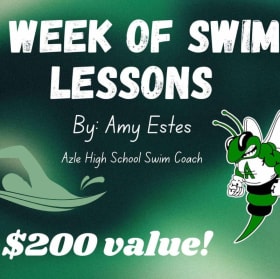 Private swim lessons (one week) with AHS swim coach item