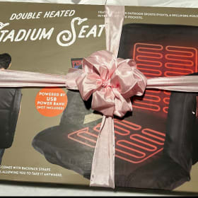 Luxury Stadium Seats item
