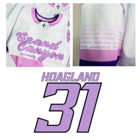 31 - Hoagland item