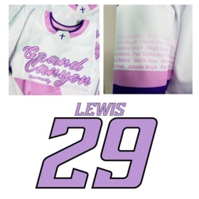 29 - Lewis item
