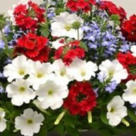 Combos:  Heartland item