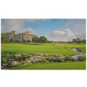 #43 Daddy's Golf Day item