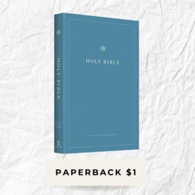 Softback ESV Bible item