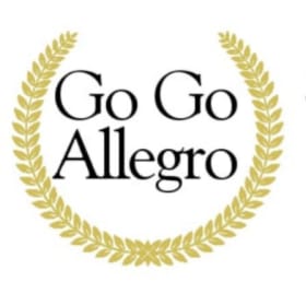 GoGo Allegro Music Lessons item