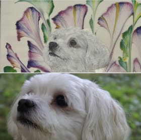 Custom Painted Pet Portrait by Creative 7th Sister item