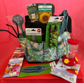 33 Spring Garden Starter item