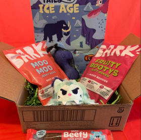 35 BarkBox Bonanza item