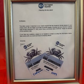 70 Penguin Lovers' Adventure item