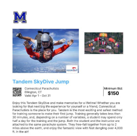 78 Tandem SkyDive Jump Set 1 item