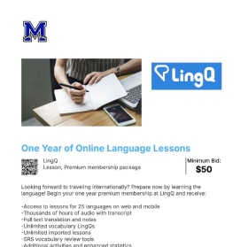 96 One Year of Online Language Lessons item