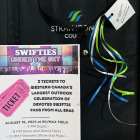 Swifties Under the Sky & Stadium Seat item