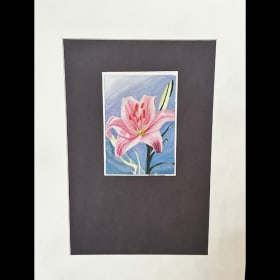 Abby's Friend Lily item