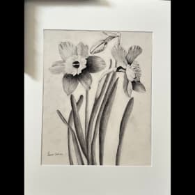 Daffodils Ready to Pick item