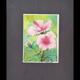 Pink Hibiscus item