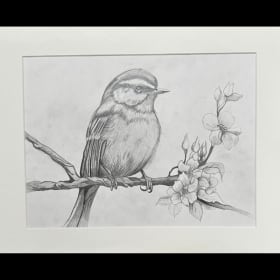 Robin & Dogwood by Pencil item