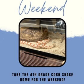 #61 Moeckler for the Weekend item