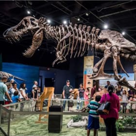 4 Tickets to the Orlando Science Center item