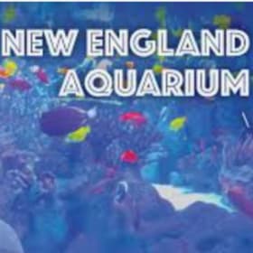 New England Aquarium: 2 Admission Passes item