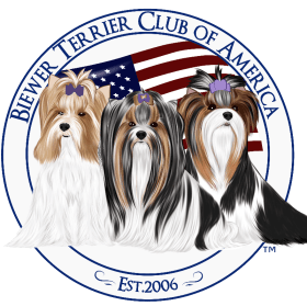 Reserve Winner's Dog item