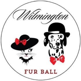 Wilmington Fur Ball Ticket item