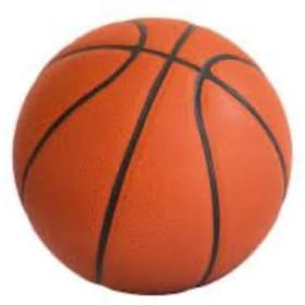 2025-2026 SACS Family Basketball Pass item