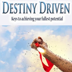 Destiny Driven by Michael David Odogwu/ Paperback item