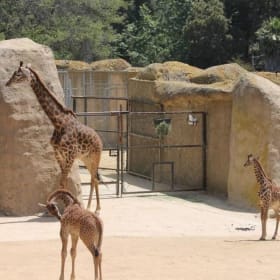 5th Santa Barbara Zoo item