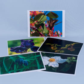 5 blank Art Cards, Quadra Lady Photography item