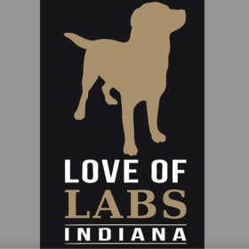 Garden Flag- Black item