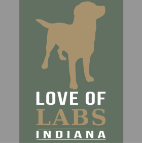 Garden Flag- Sage Green item