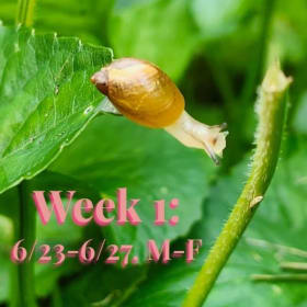 Week 1 (6/23-6/27): Full Days, 9am-3pm item