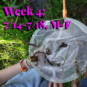Week 4 (7/14-7/18) Full Days, 9am-3pm - M-F item