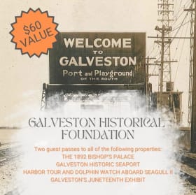 Galveston Historic Bundle item
