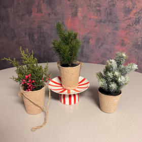Christmas Decor item