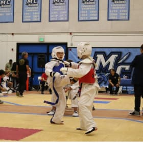 CLASSES| 1 Month of Taekwondo Classes-Brentwood(Value: $400) item