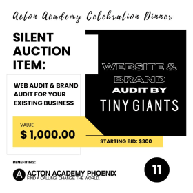 (11) Tiny Giants Agency – Web & Brand Audit item