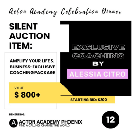 (12) Amplify Your Life & Business Exclusive Coaching Package item