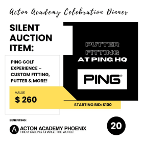 (20) Ping Golf Experience – Custom Fitting, Putter & More! item