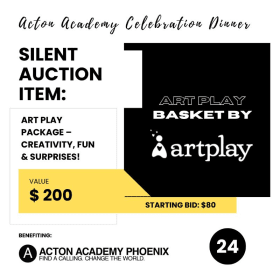 (24) Art Play Package – Creativity, Fun & Surprises! item