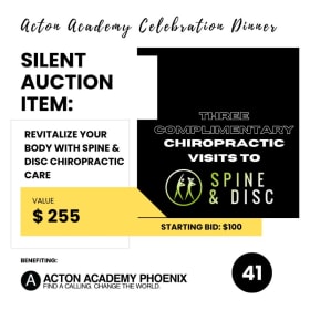 (41) Revitalize Your Body w/Spine & Disc Chiropractic Care item